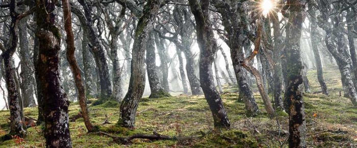 Beautiful Landscape Photography of Nature by James Appleton
