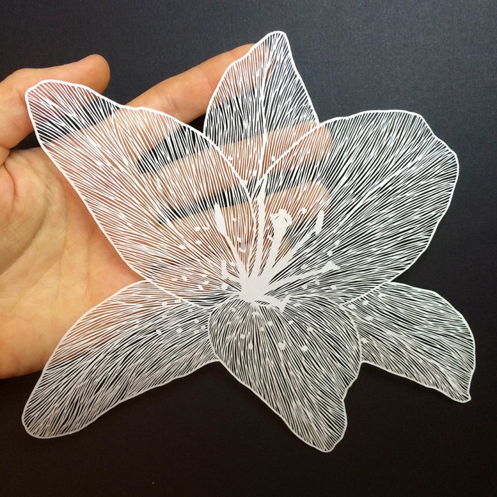 Amazing Detailed Paper Cut Art by Maude White
