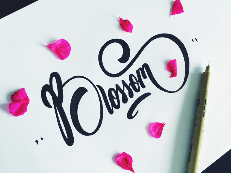 Beauty Hand Lettering Fonts Design by Tadas For Sure