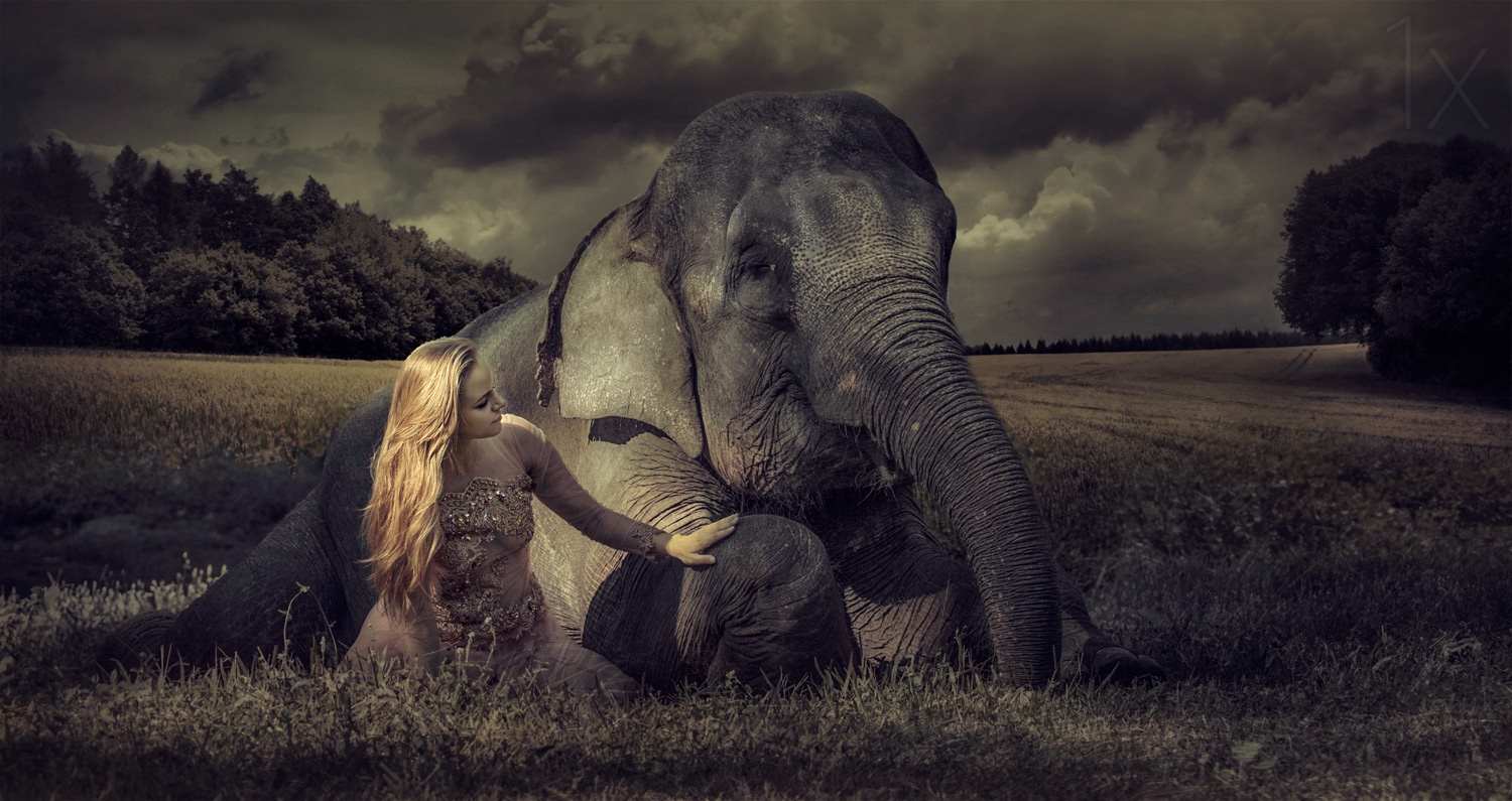 Beautiful Fine Art Portraits by Kenvin Pinardy