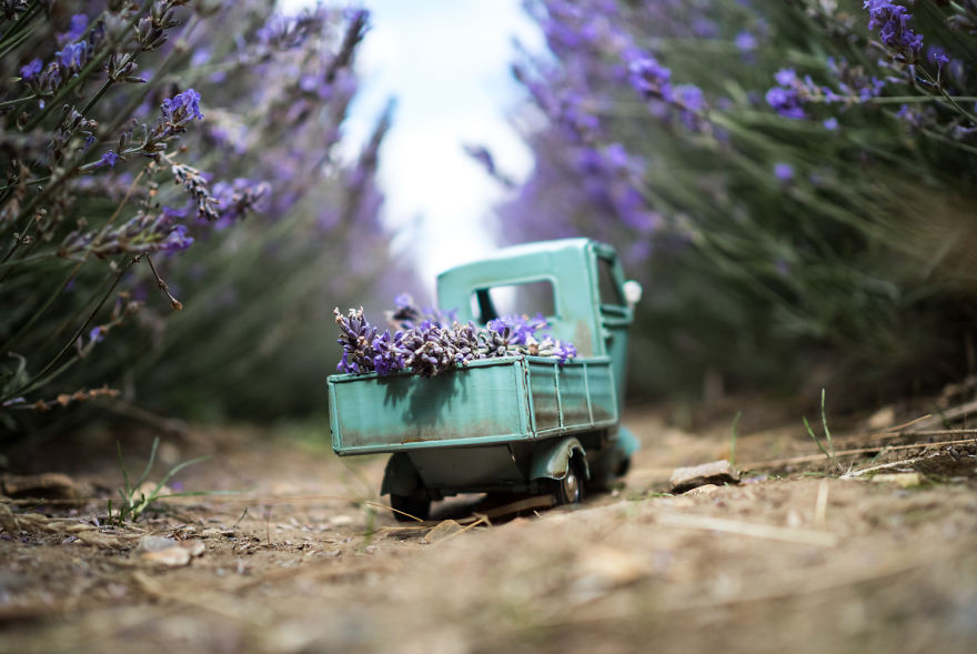 Creative and Beautiful Photography ideas With Little Cars 99