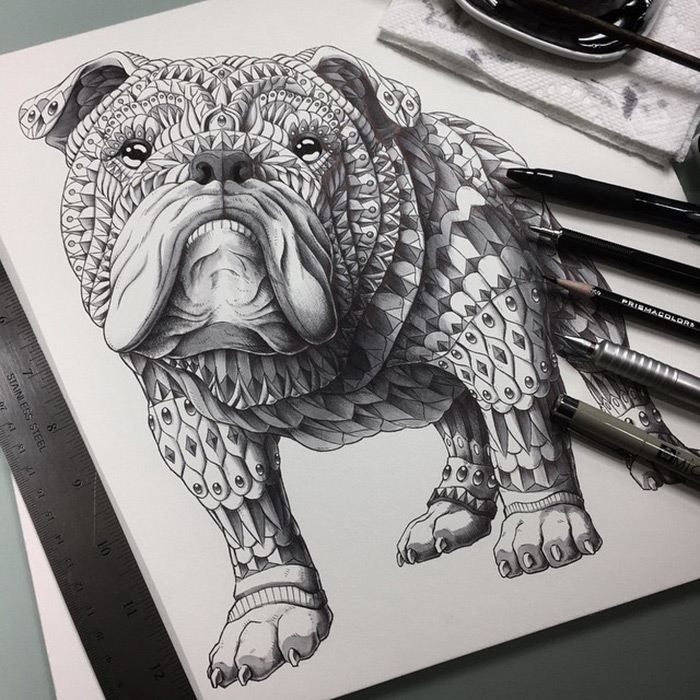 Stunning Black and white Animal Illustrations