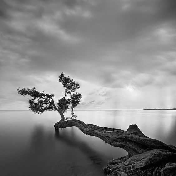 Beautiful Black and White Landscape Photography