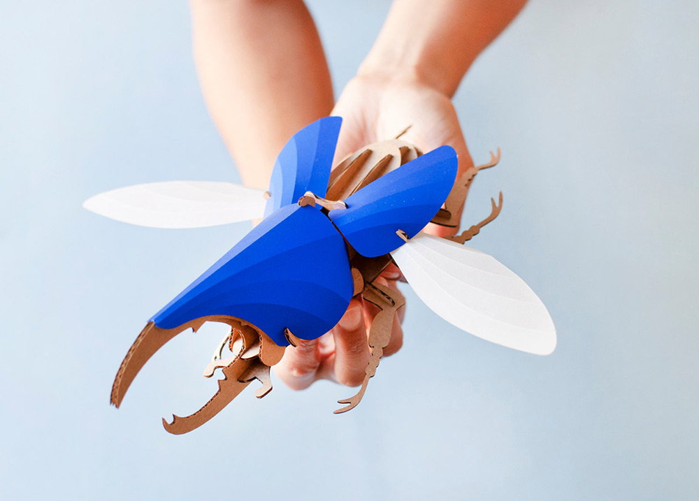 Creative DIY Paper Beetle Sculpture Kits by Assembli