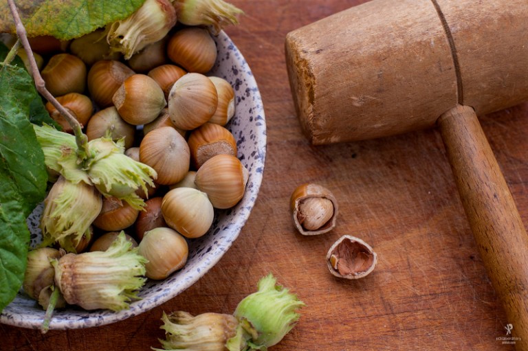 Still Life Photography By Yane Naumoski Hazelnuts