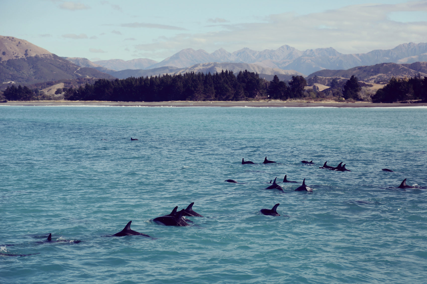 Dreamlike Pictures of a One-Month Trip in New Zealand