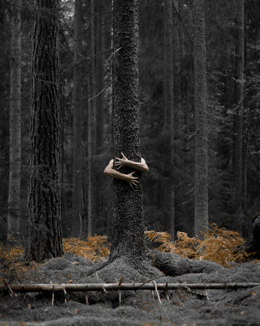 Stunning Swedish Nature Photography Captured by Magnus Dovline