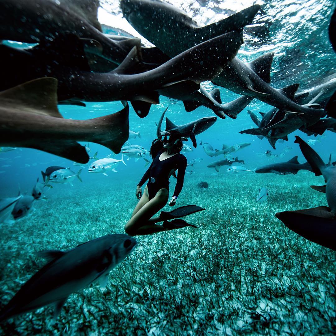 Magnificent Adventure Photography by Chelsea Yamase