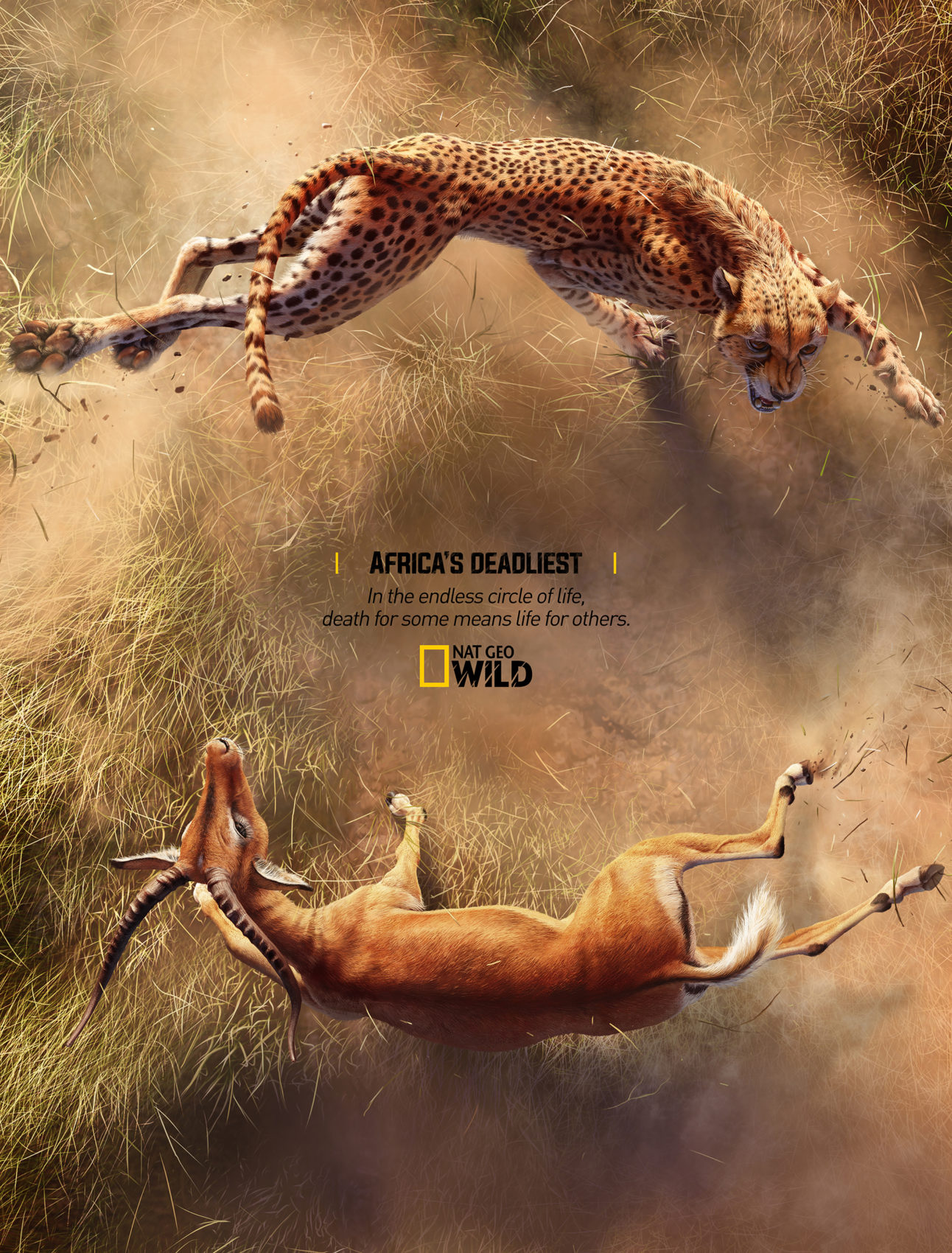 Creative Concept for Africa’s Deadliest Face to Face Predator vs Prey 2