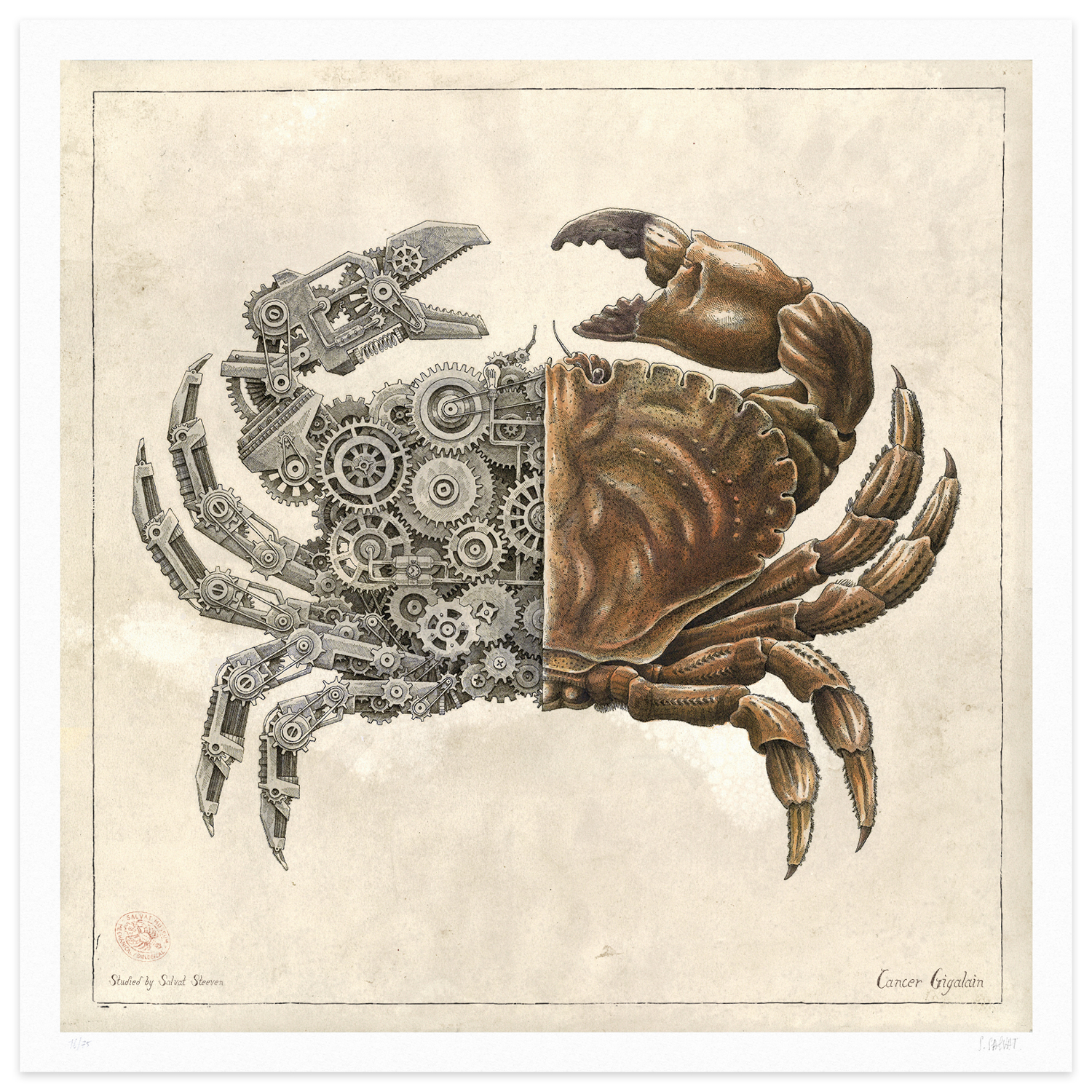 Awesome Black and White Drawings by Steeven Salvat