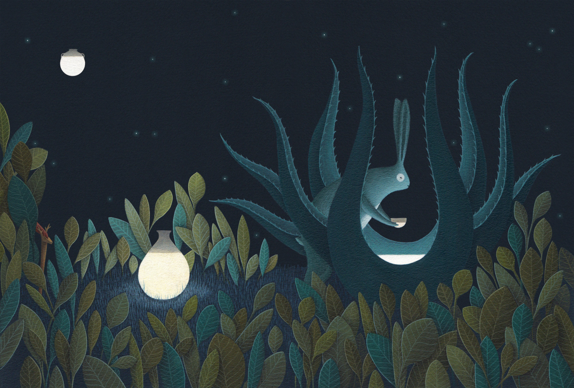 Beautiful Illustrated Book by David Álvarez