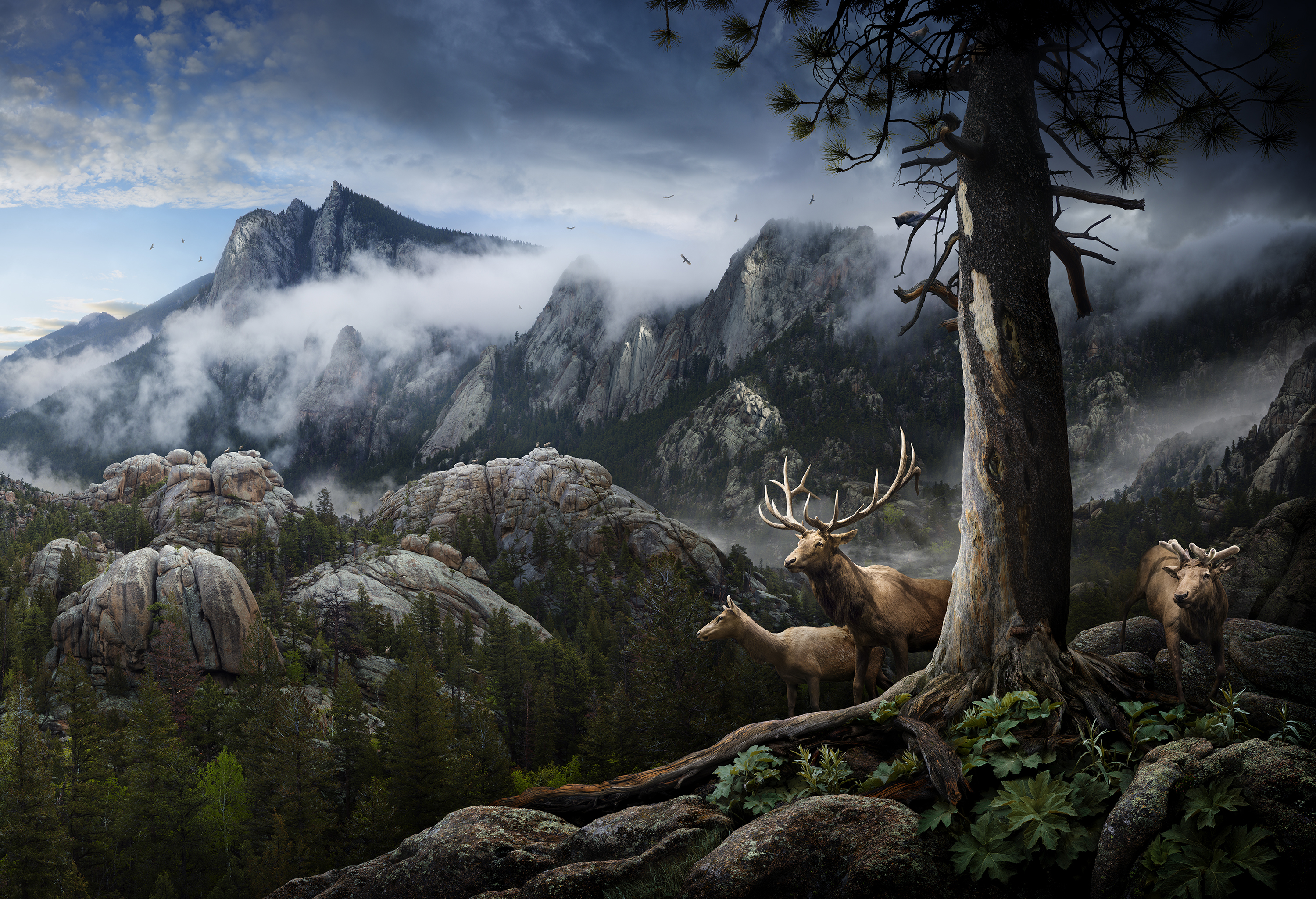 Wonderful Photographs Between Idealization and Realism by Nick Pedersen