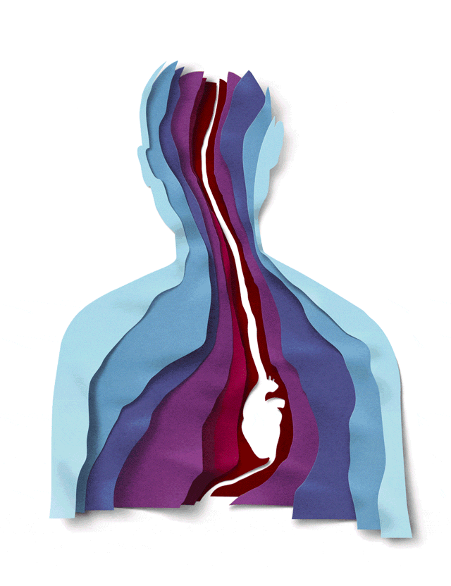 New York Times Sunday Review cover, animation for “Life After a hear Attack at Age 38”