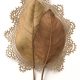 Leaves & Twigs Creative Artworks by Susanna Bauer