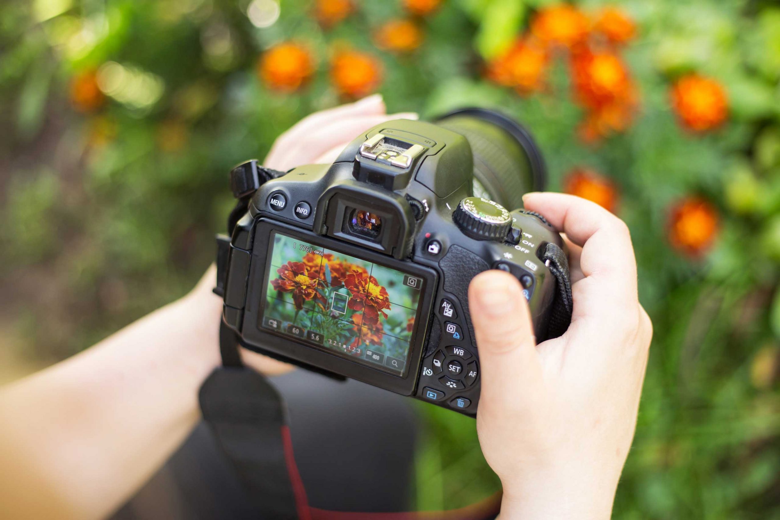 Should You Buy A New Or Used DSLR Camera 2022