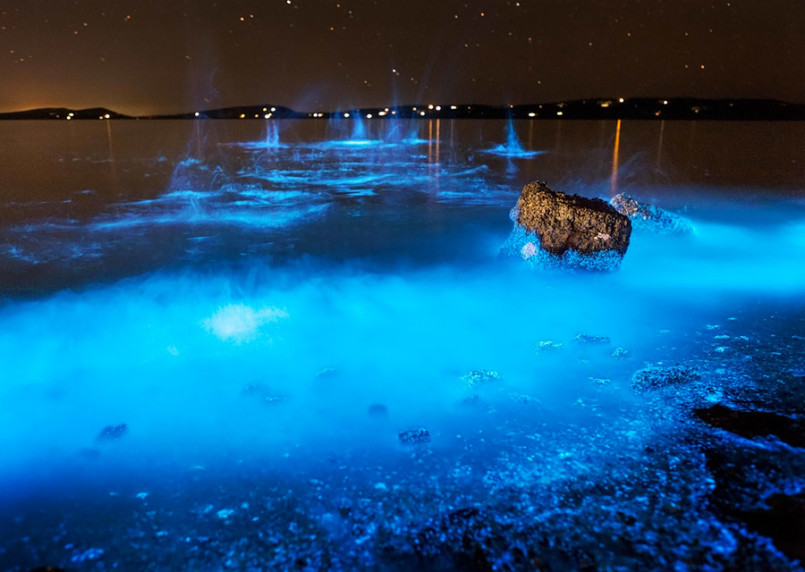 The Beauty of sea Sparkles photography by Jo Malcomson