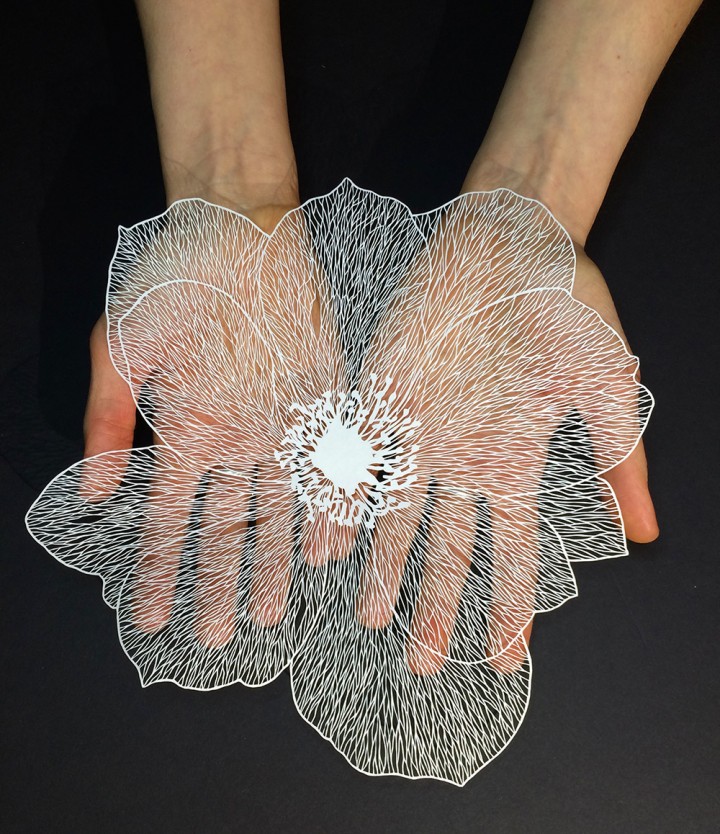 Detailed Paper Cut Art by Maude White 007