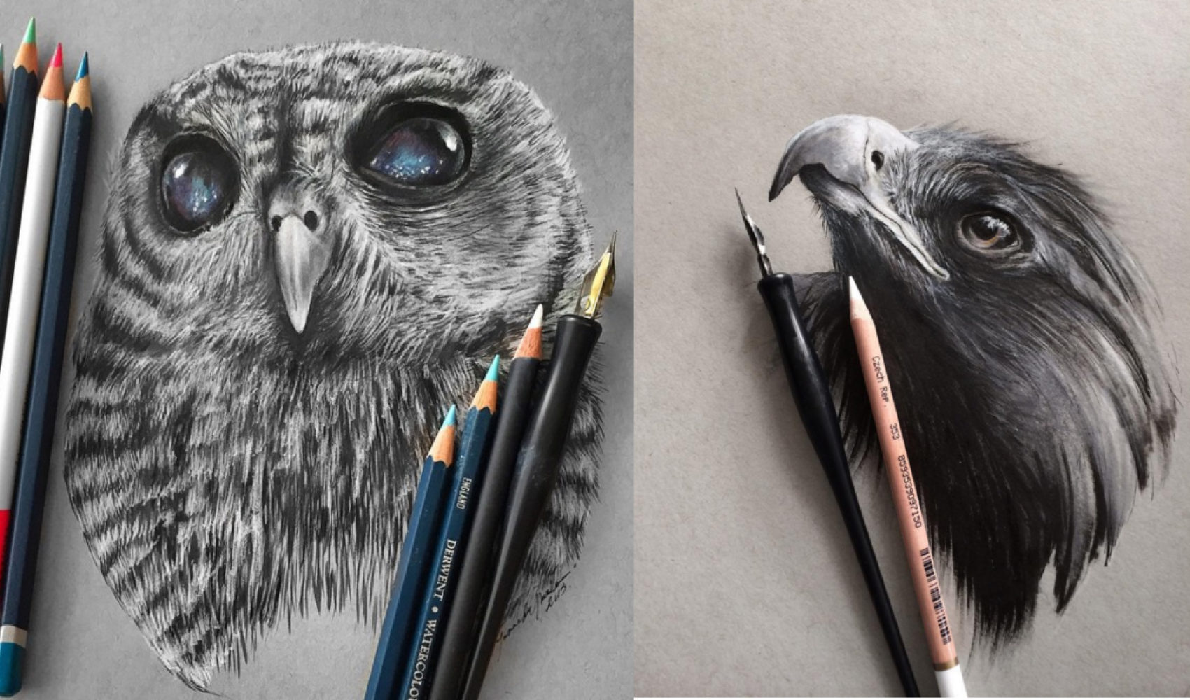 Stunning Realistic Pencil Drawing Of Animals By Jonathan Martinez