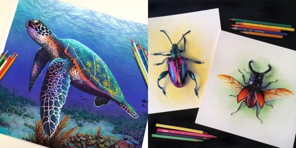 Extraordinary Colorful 3D Drawing by Morgan Davidson