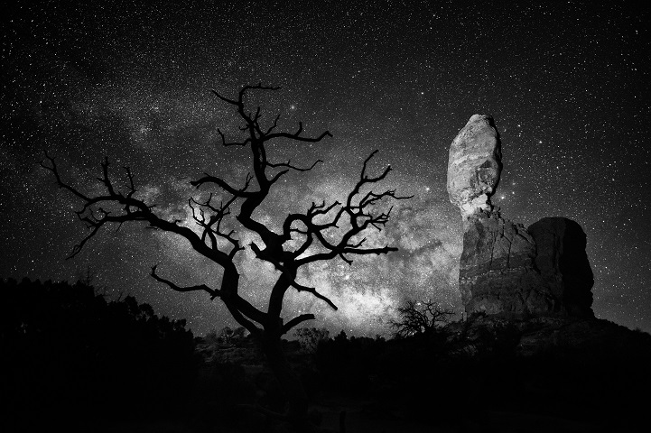 Balanced Rock and lone tree in Arches National Park.