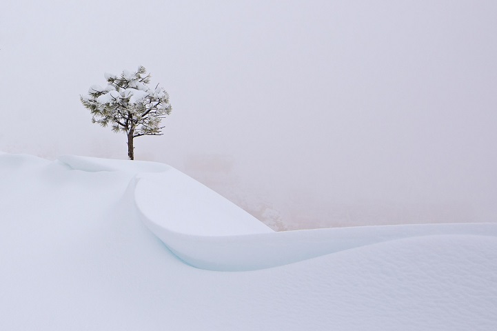 During a snow storm I decided to head over to Bryce Canyon NP and enjoy the freshly fallen snow. Visibility was down to almost zero, but then I found this single tree right next to a snow drift and knew this would be my shot.