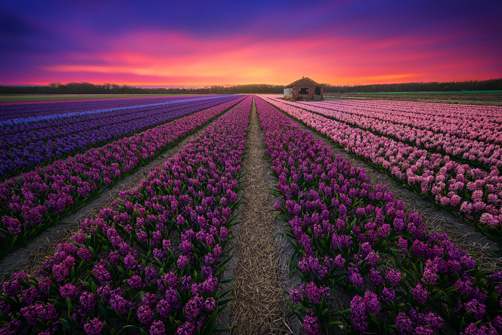 The Beauty of Colorful Landscape Photography