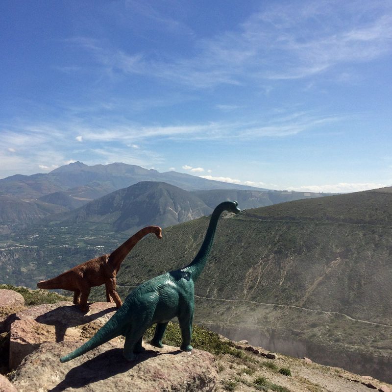 Toy Dinosaurs Turn Tourists in Jorge Saenz’s 7