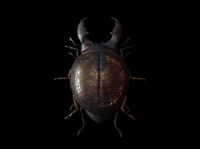 engraved-entomology-wonderful-digital-illustrations-by-billelis