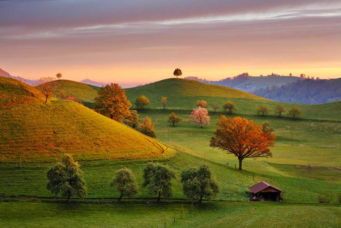 Beautiful Swiss Countryside by Martin Rak