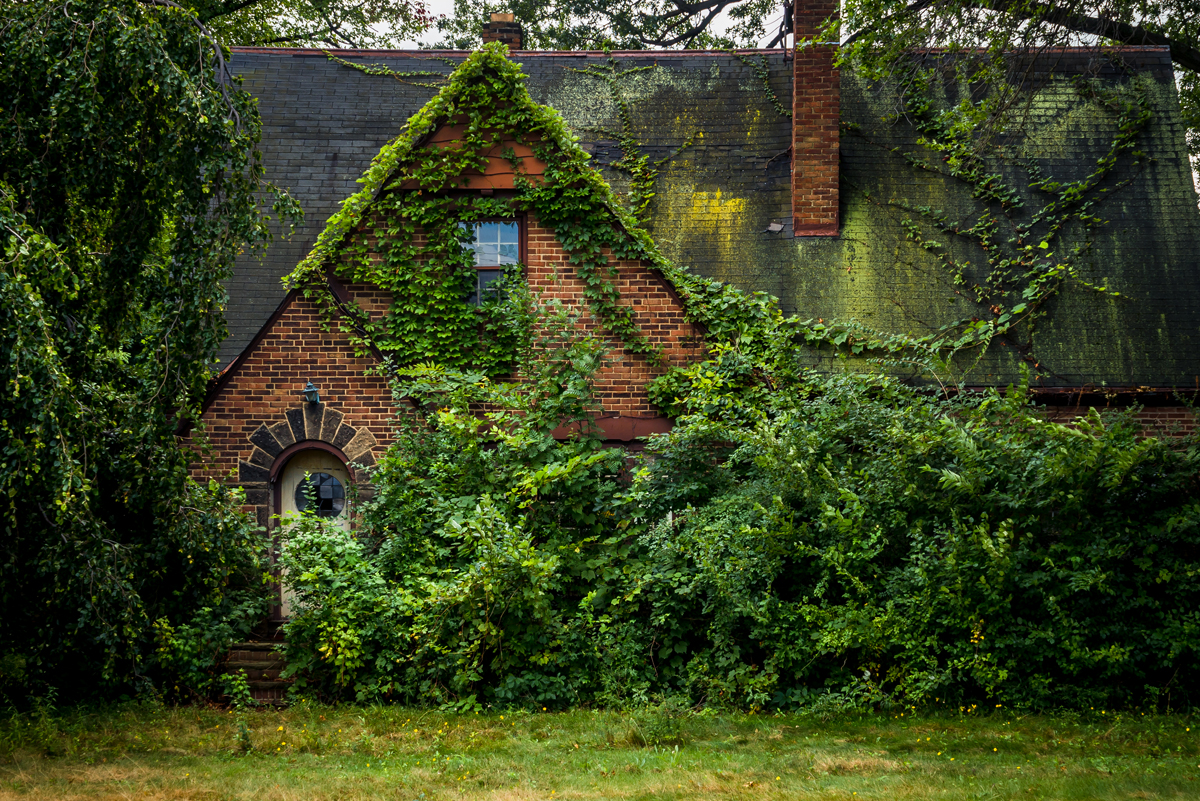 Johnny Joo Photographs Forgotten Structures Overtaken by Nature