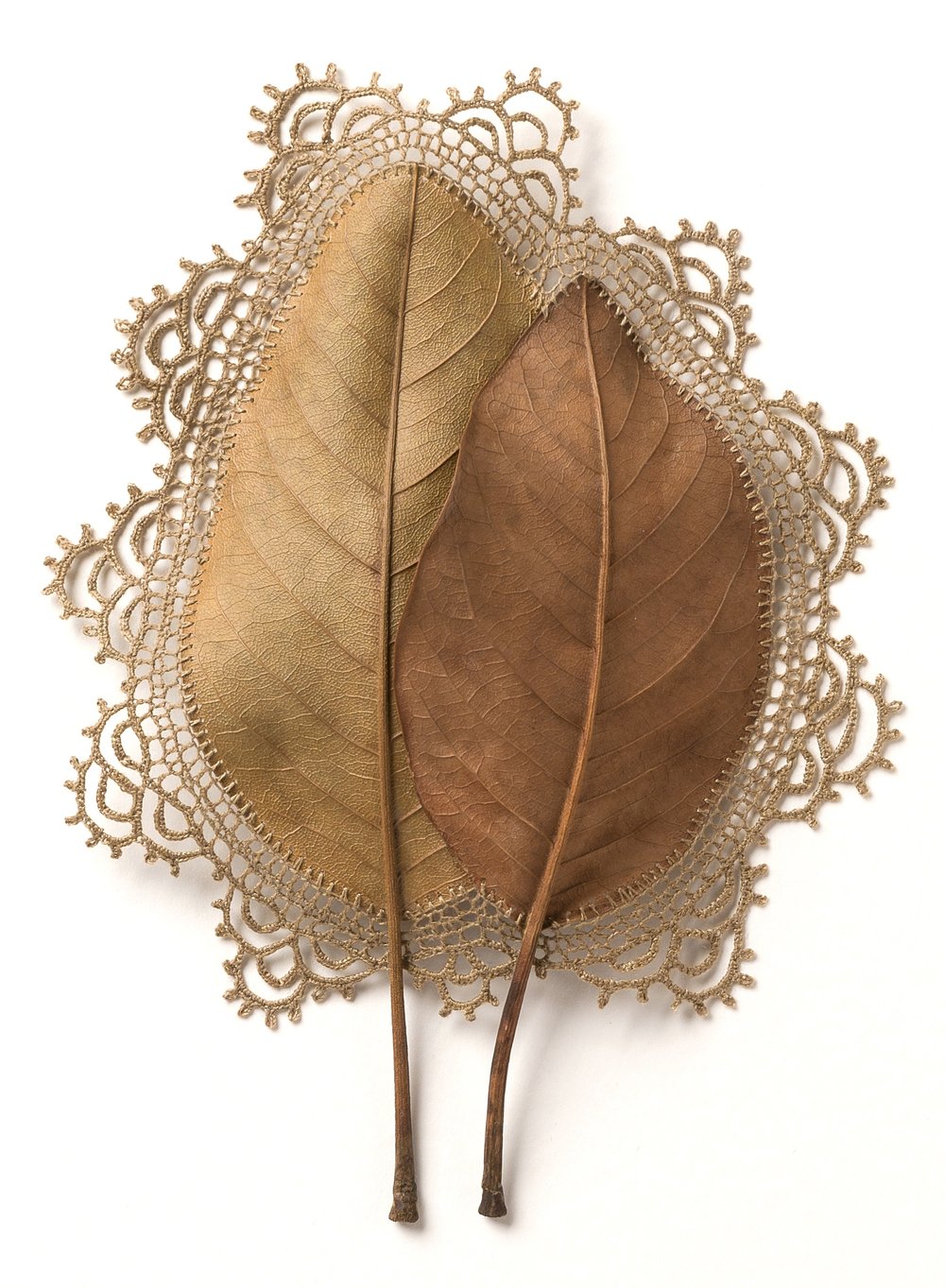 Leaves & Twigs Creative Artworks by Susanna Bauer