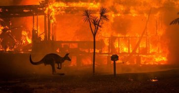Terrifying Pictures Of Australia’s Bushfires